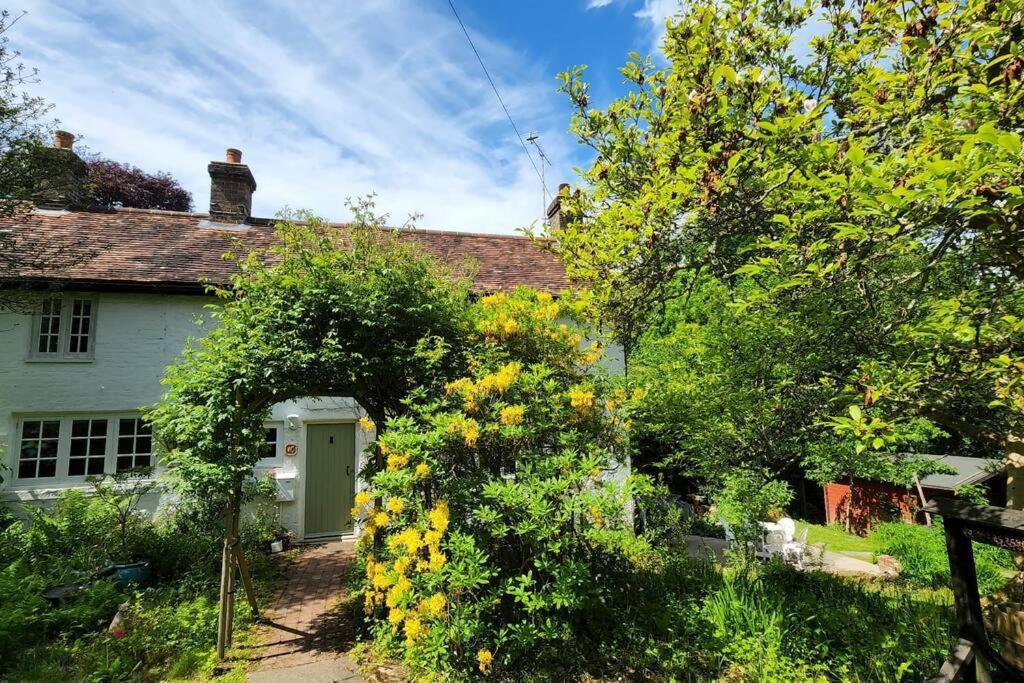Ashdown Forest Character Cottage, 18Th Century Crowborough Exterior photo